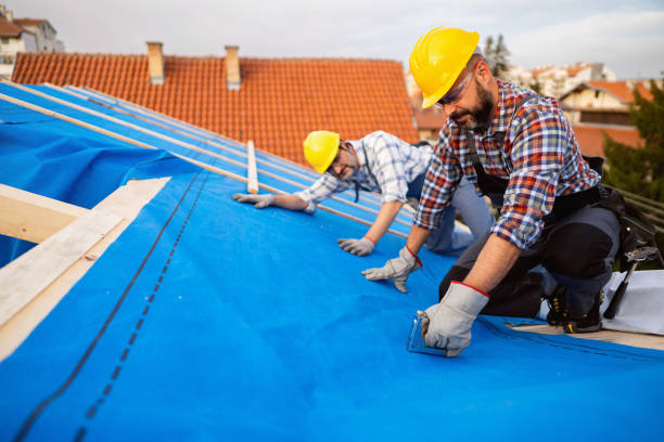 Fast & Reliable Emergency Roof Repairs in Willow, AK